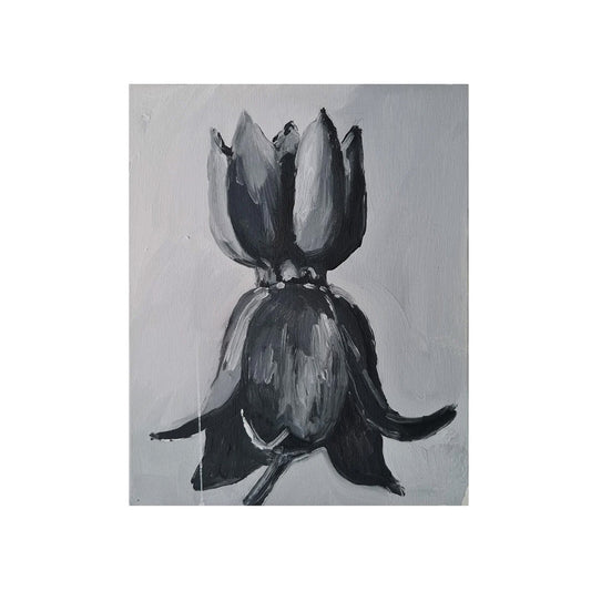 Matheus Guilherme - Chegada ao ateliê IV